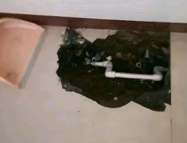 长白卫生间测漏水多少钱